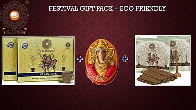 combo pack for festival